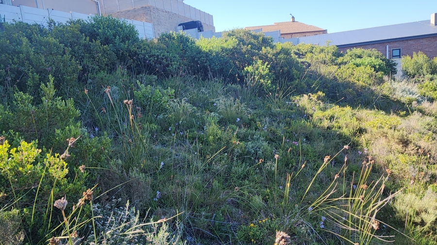 0 Bedroom Property for Sale in Island View Western Cape